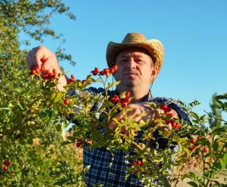 IR para Produtor Rural: regras e cuidados