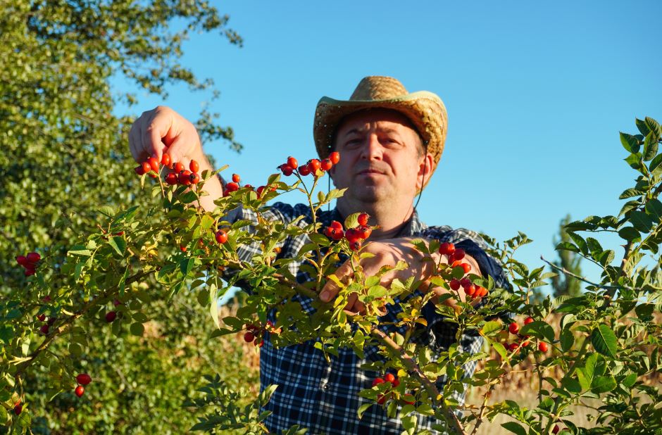 IR para Produtor Rural: regras e cuidados